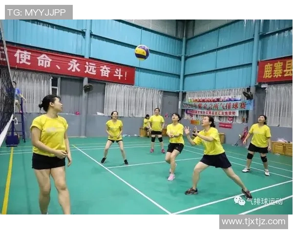 上海排球队心理素质排名第一最新排球心理素质TOP10全解析